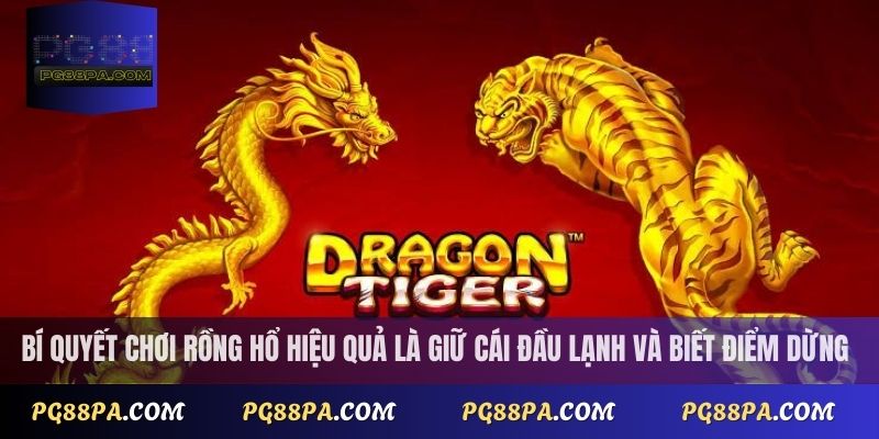 Bí quyết chơi rồng hổ hiệu quả là giữ cái đầu lạnh và biết điểm dừng