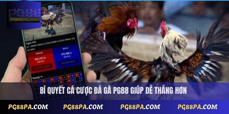 Bí quyết cá cược đá gà PG88 giúp dễ thắng hơn