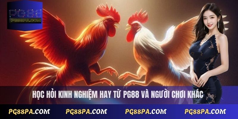 Học hỏi kinh nghiệm hay từ PG88 và người chơi khác
