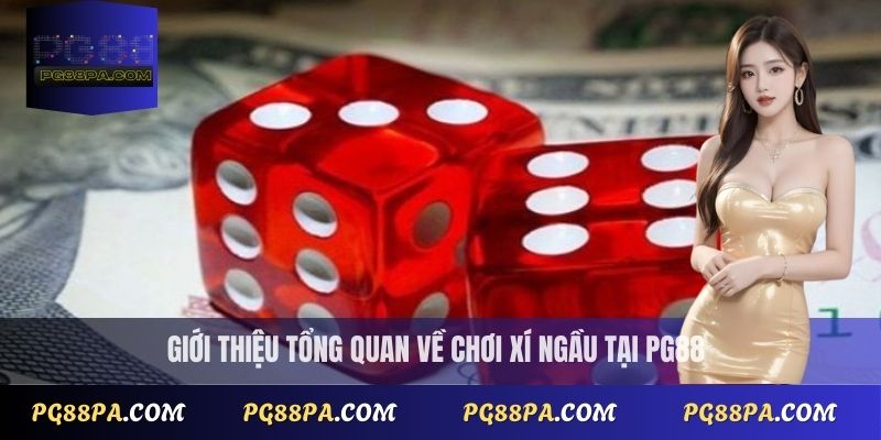 Giới thiệu tổng quan về cách chơi Xí Ngầu tại PG88