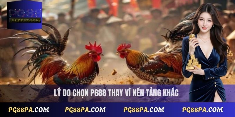 Lý do chọn PG88 thay vì nền tảng khác